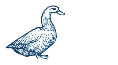 Pato